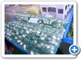 IMG-20220505-WA0024