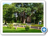public-gardens-bagh-e-aam-hyderabad-tourism-holidays-closed-on-timings