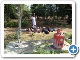 Drip_irrigation