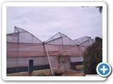 Poly_house_outside