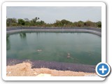 Farm_pond