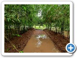 Raised Bed & Drench System