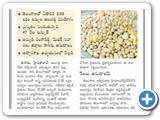 eenadu1