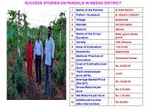 Slide9