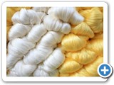 11.Raw Silk