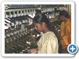 9.Multiend Silk Reeling Unit