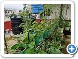 IMG-20210825-WA0157