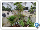 IMG-20210825-WA0160