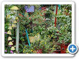 IMG-20210825-WA0170