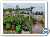 IMG-20210825-WA0177